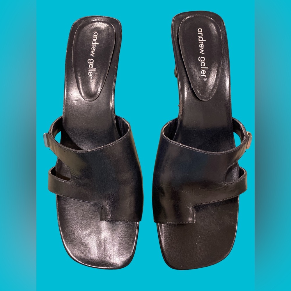 Size 9.5 Leather Andrew Geller Heels